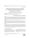 Artefactos_instrumentos_piedra.pdf.jpg