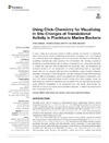 Using_click_Chemistry.pdf.jpg