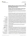 Marine_Primary_Productivity.pdf.jpg