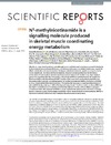 N1_methylnicotinamide.pdf.jpg