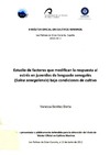 Vanesa Benítez 665953-1.pdf.jpg