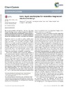 ionicliquidelectrolytes.pdf.jpg