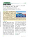 oilspillsdispersants.pdf.jpg