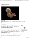 35. Así se decide la salud de nuestro cerebro antes y después de nacer.pdf.jpg