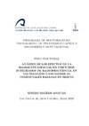 memoria de tesis de Sergio Mateos Angulo.pdf.jpg