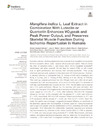 mangifera_indica_leaf.pdf.jpg