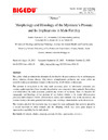 morphology_histology_mysticete.pdf.jpg