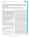 Sacchini-2020-Amyloid-beta-peptide-and-phosphoryl.pdf.jpg
