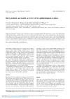 Dairy_products_and_health.pdf.jpg