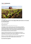 huella_abuso_plaguicidas.pdf.jpg